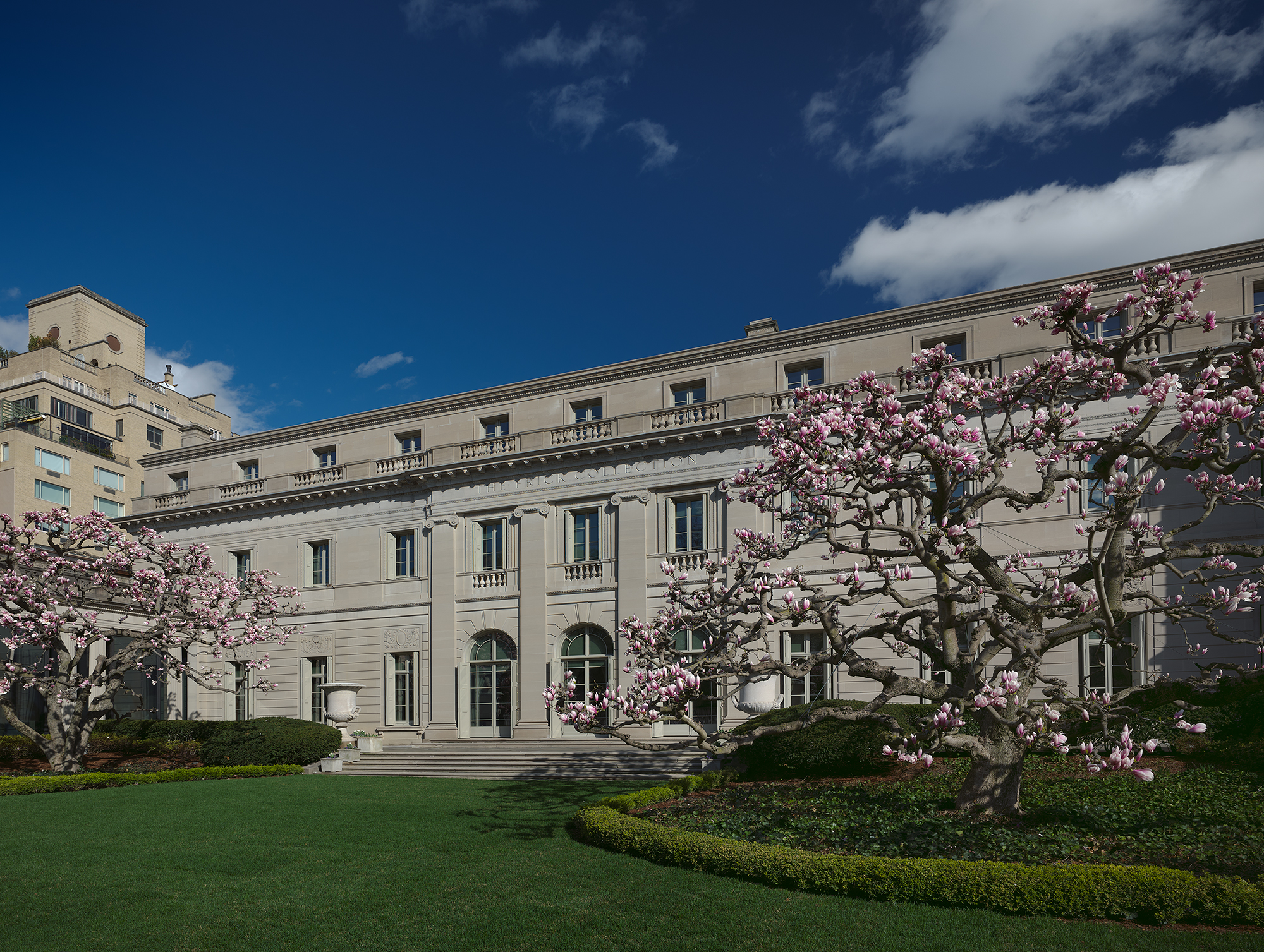 The Frick Collection’s Fifth Avenue façade in spring, magnolia trees in bloom along the front lawn under a clear blue sky.