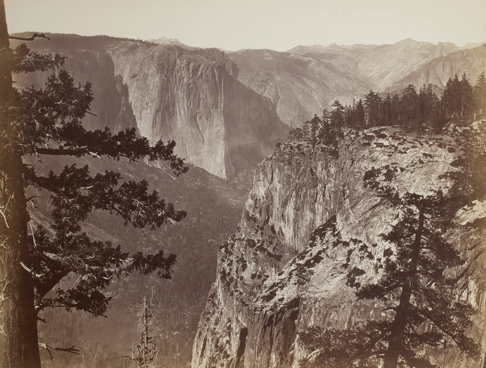 An albumen print looking across Yosemite Valley from the Mariposa Trail: sheer granite cliffs drop into a deep canyon, with pine boughs framing the view at the left.