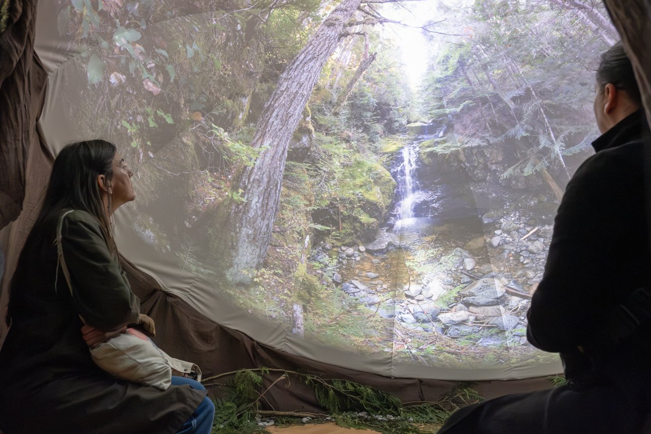 Visitors watch a waterfall projection in SANCTUARY: The Ancient Forest Experience