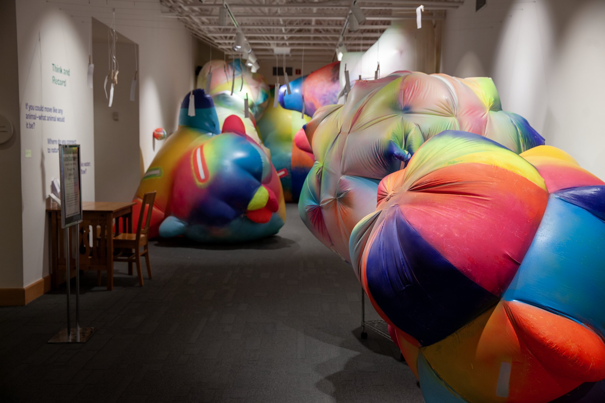 Claire Ashley’s large inflatable painted sculptures in rainbow colours filling a gallery in Forever Play