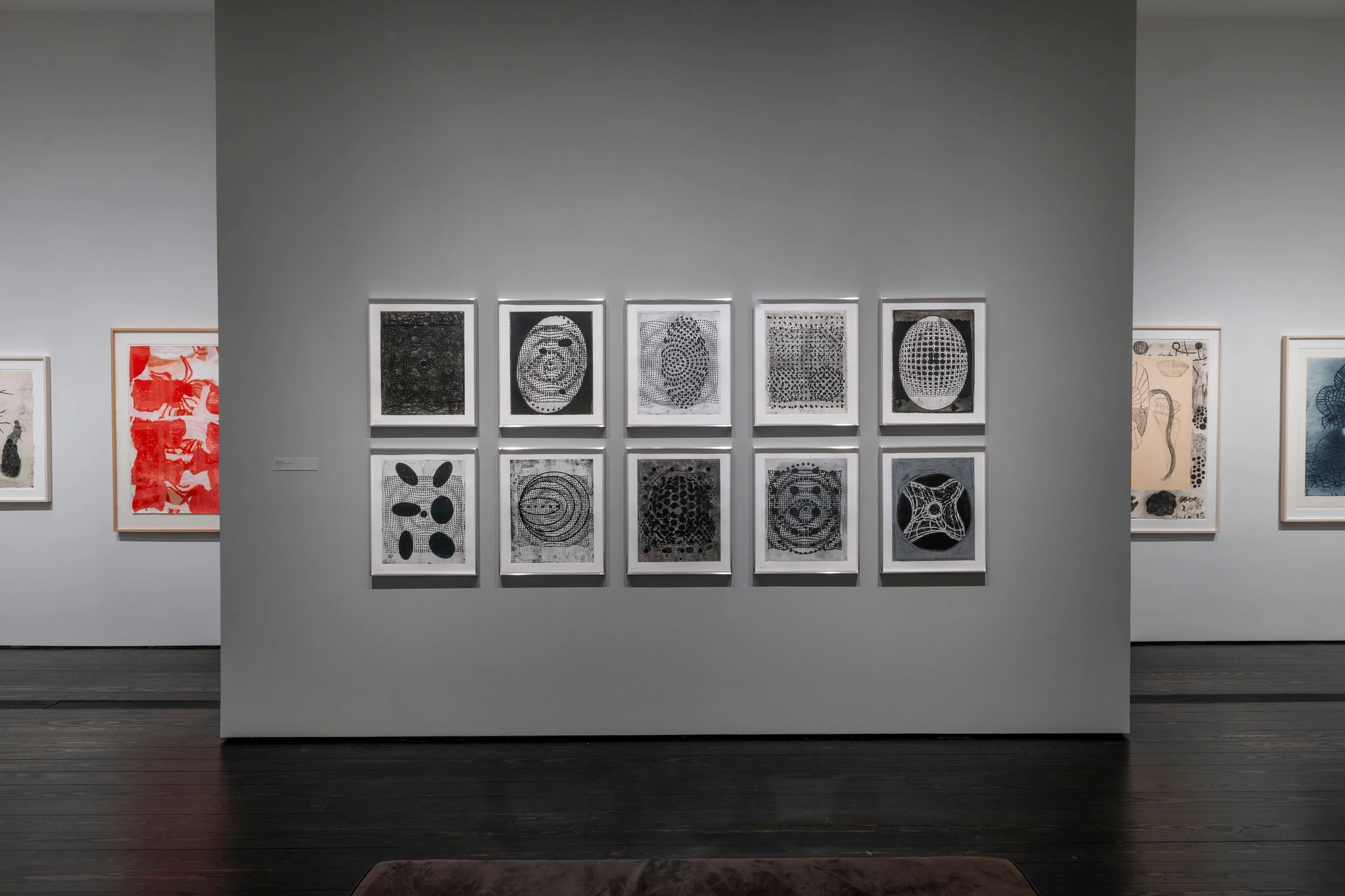 Exhibition image for Terry Winters: Vitalized Geometry