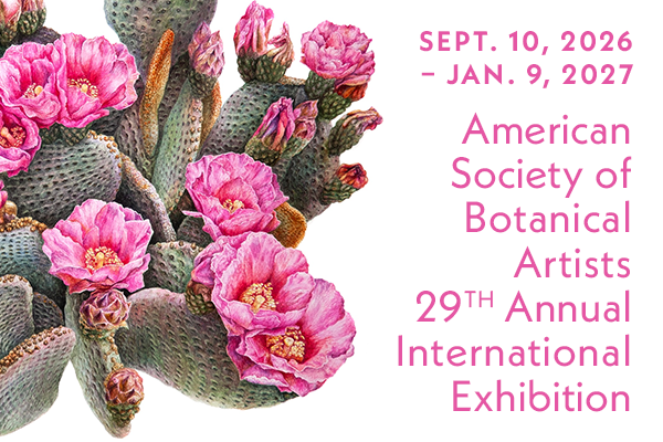 Exhibition image for American Society of Botanical Artists 29th Annual International Exhibition