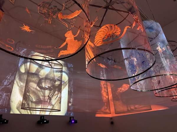 Exhibition image for Nalini Malani