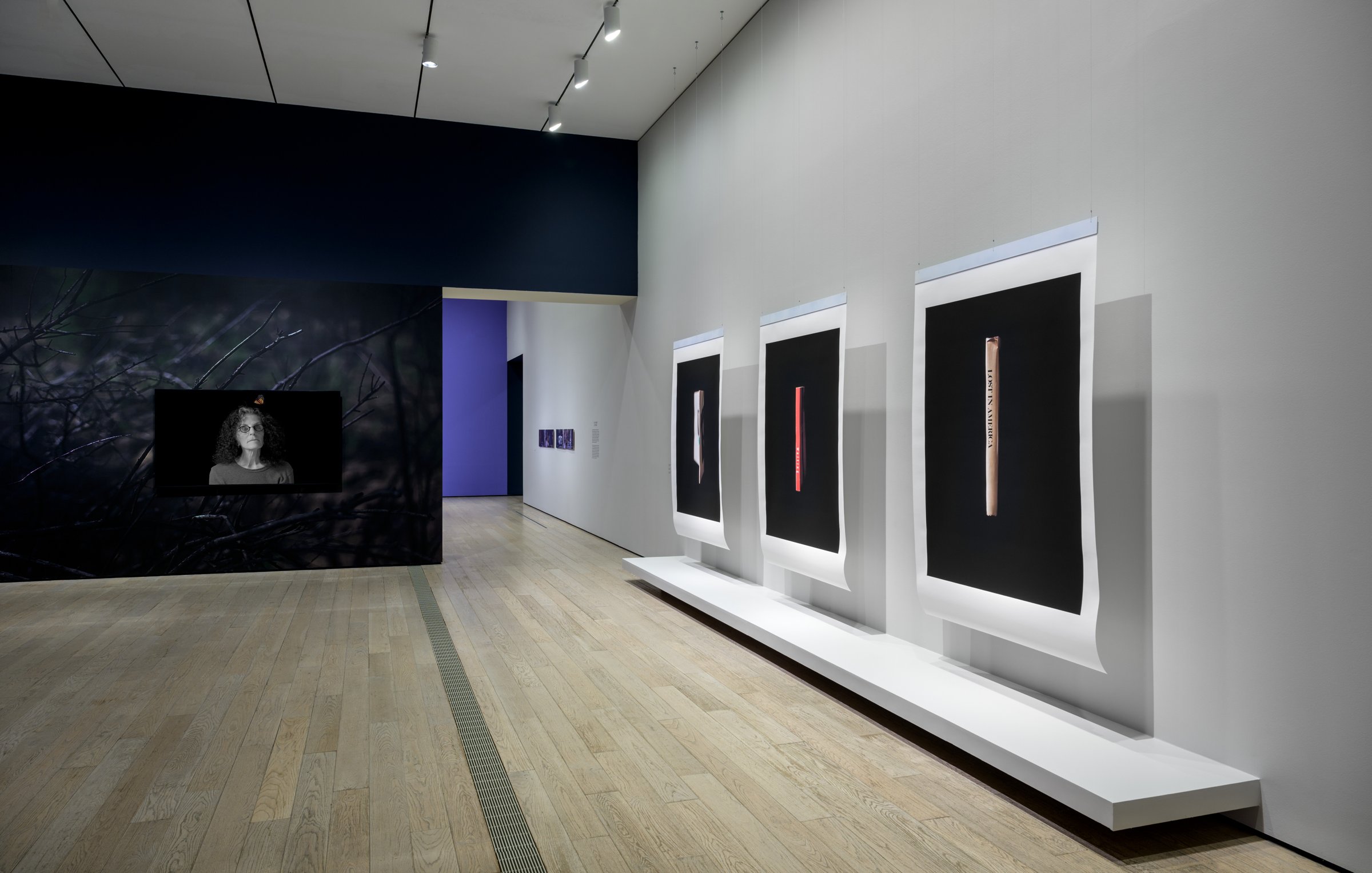 Installation view of Eileen Cowin: Between Panic and Paradise at the Los Angeles County Museum of Art (1)