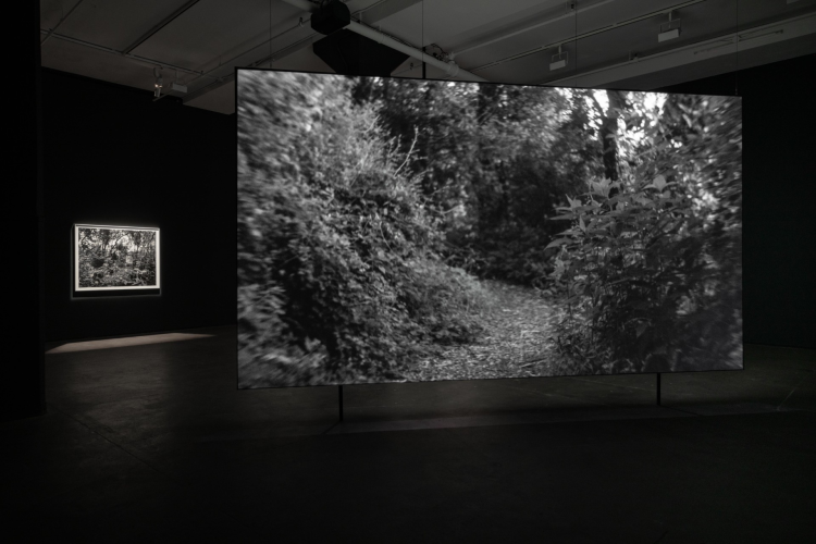Exhibition image for Dawoud Bey: Material Histories, Living Landscapes