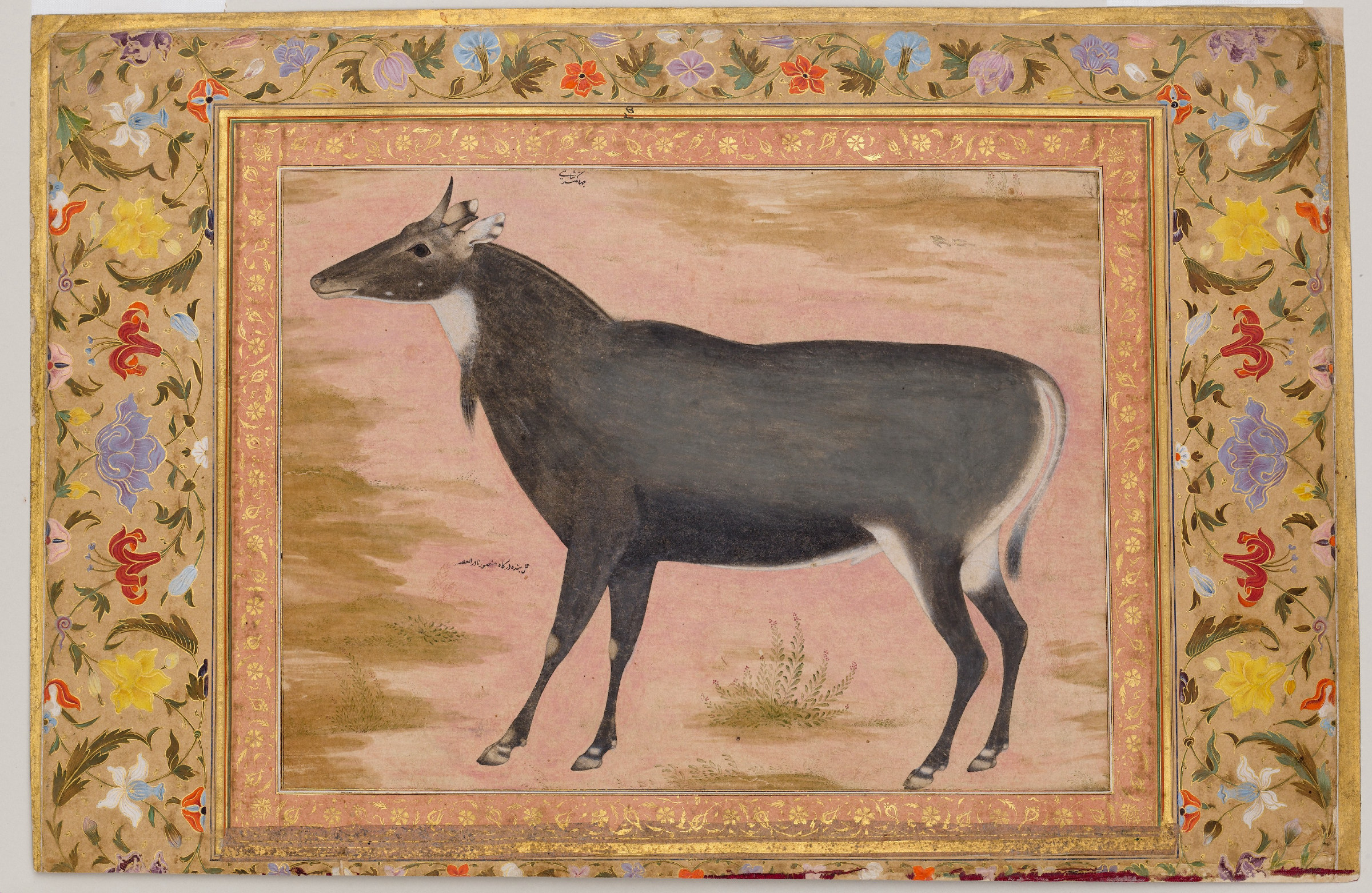 A naturalistic study of a nilgai standing in profile on a pale ground, its grey coat and white throat markings closely observed, set within a wide illuminated border of flowers and birds.