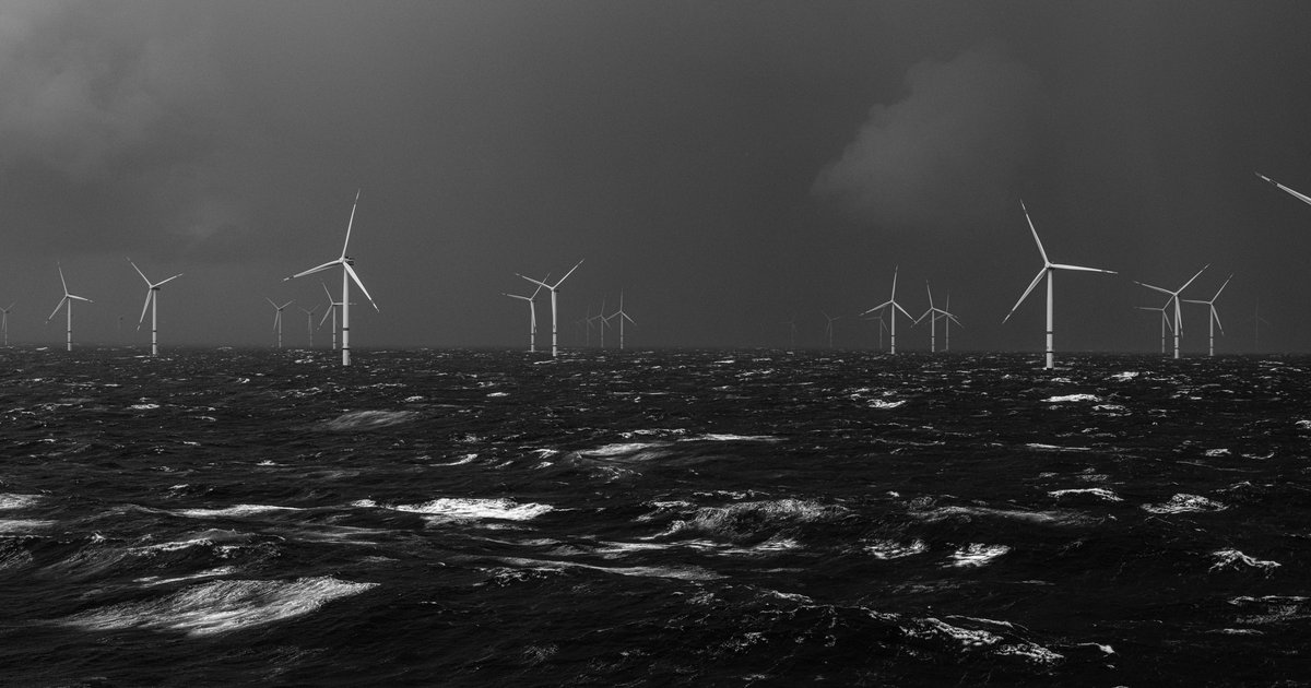 Exhibition image for Document Netherlands: New Energy