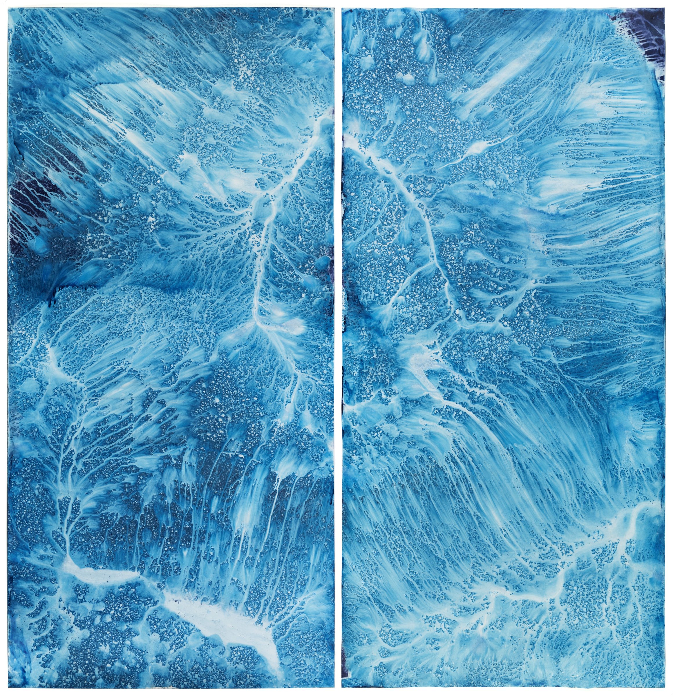 Meghann Riepenhoff, Ecotone #823: two blue cyanotypes marked with branching white lines