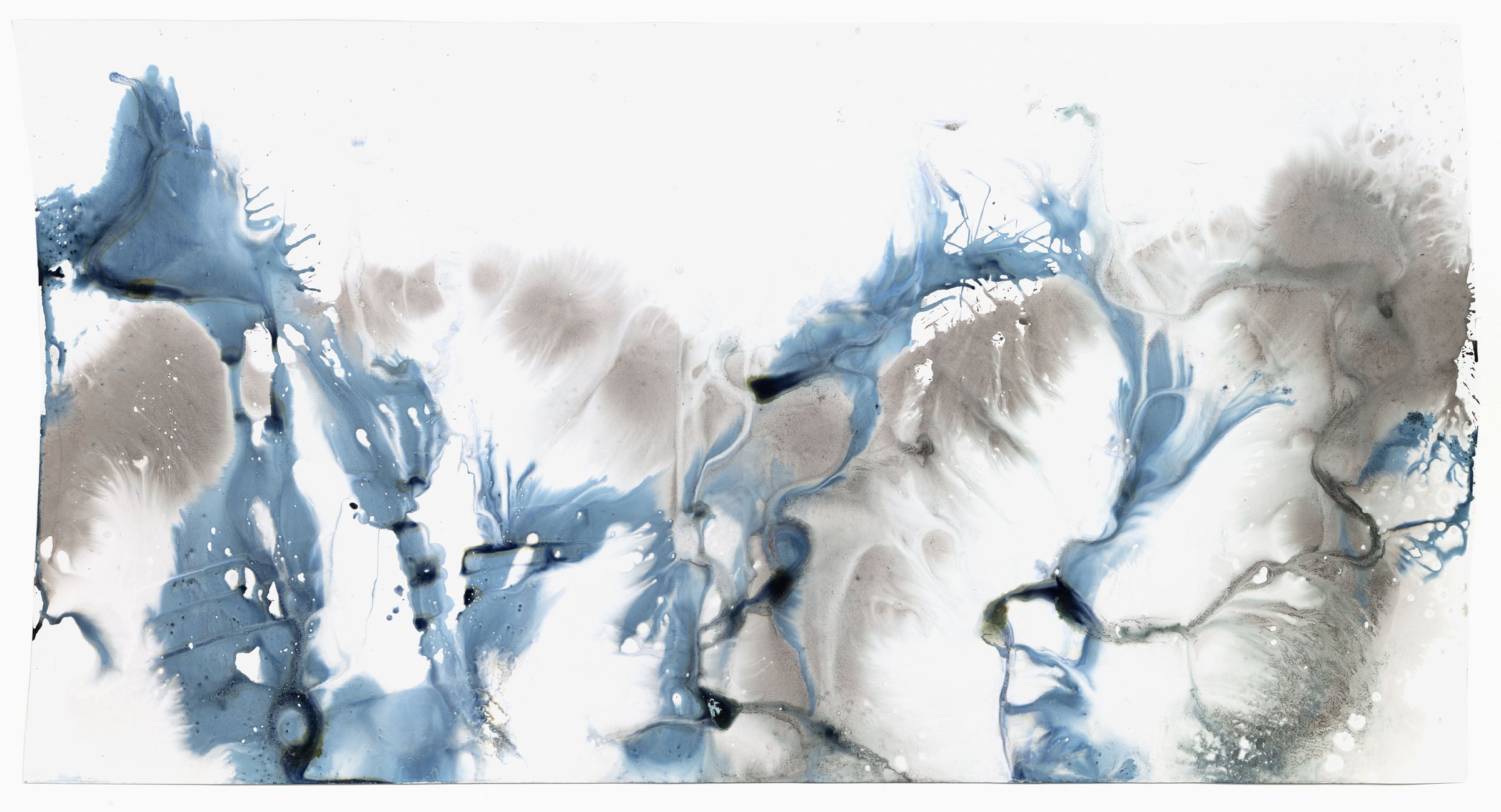 Meghann Riepenhoff, Day 260.2: a cyanotype of pale blue and grey washes on white