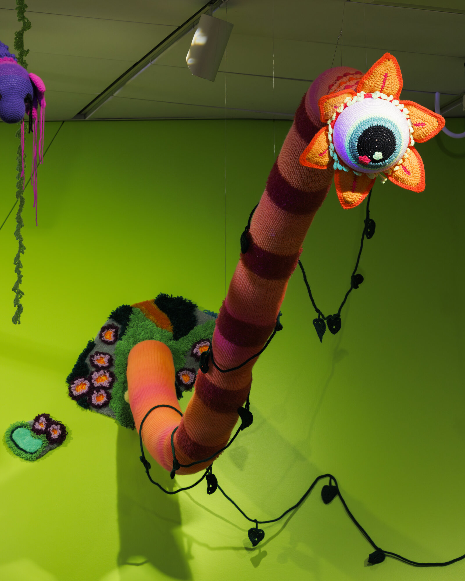 Installation view of The Tangled Self at the Denver Art Museum