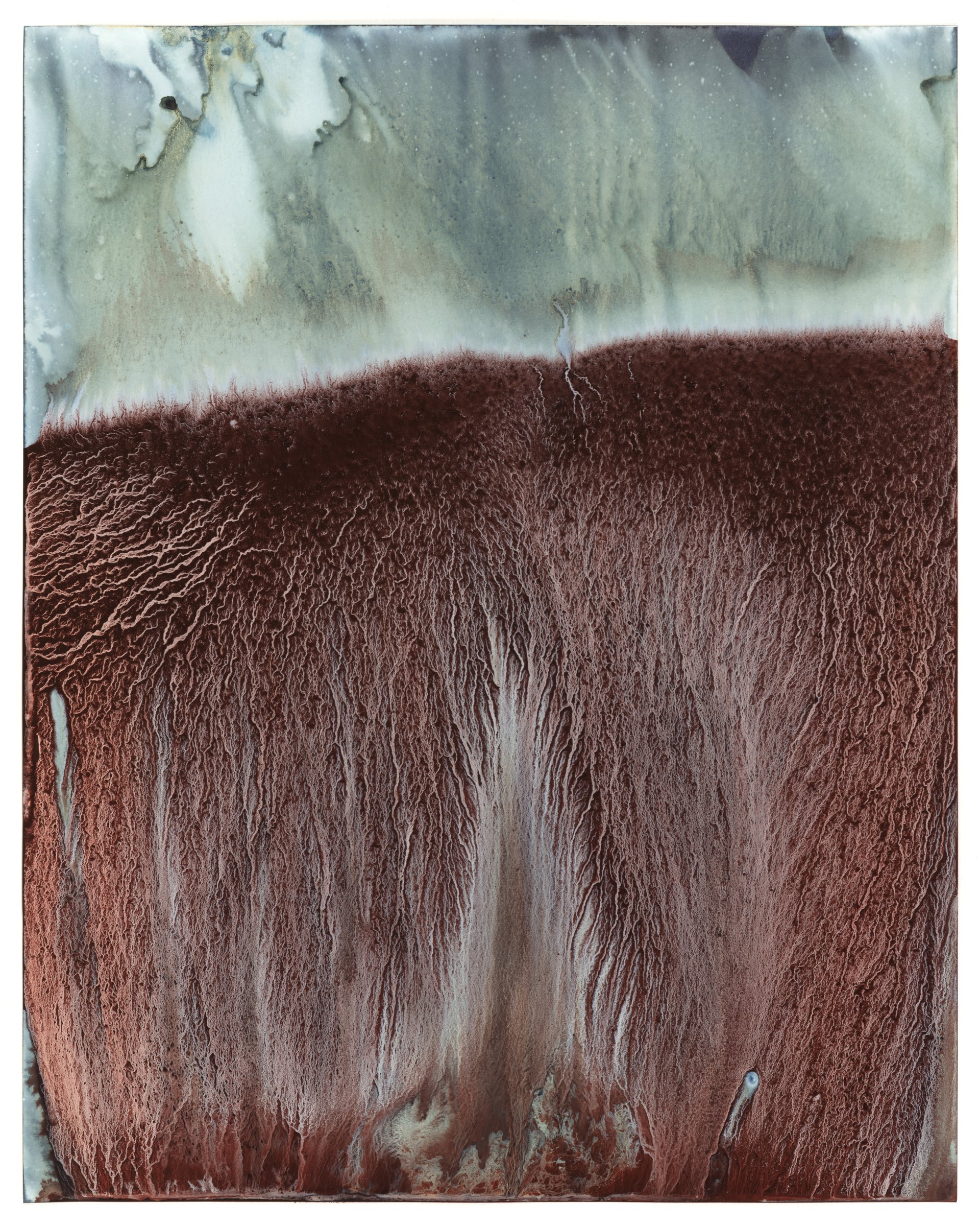 Meghann Riepenhoff, Day 287: a cyanotype in deep red-brown with a pale green top band