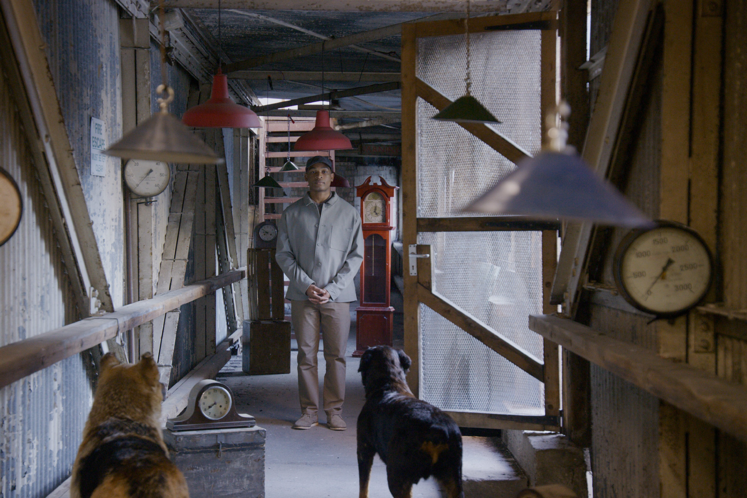 John Akomfrah: The Hour Of The Dog building
