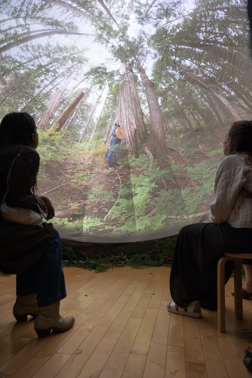 Visitors sit in the immersive old-growth forest projection of SANCTUARY