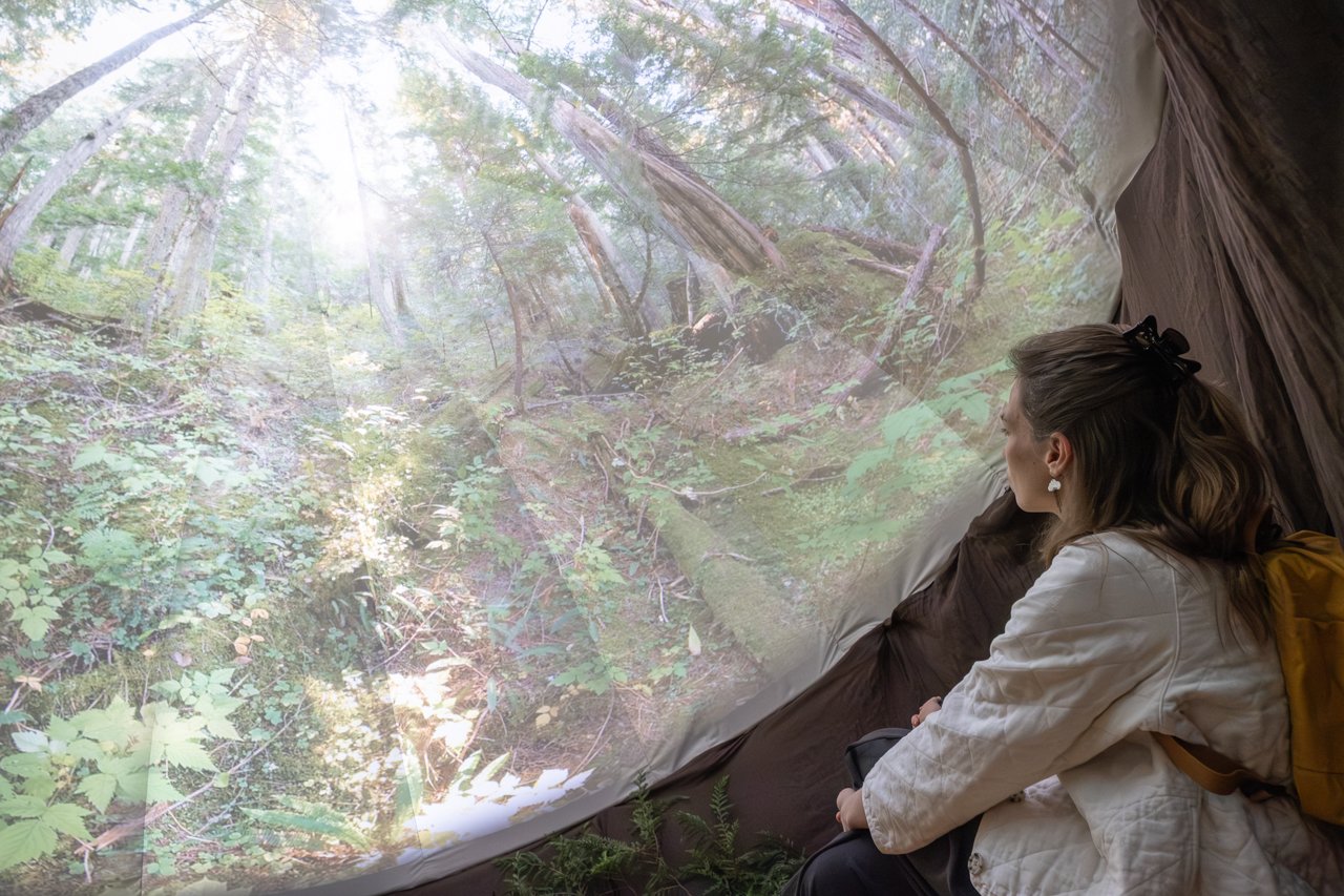 A visitor sits inside the immersive forest projection of SANCTUARY: The Ancient Forest Experience