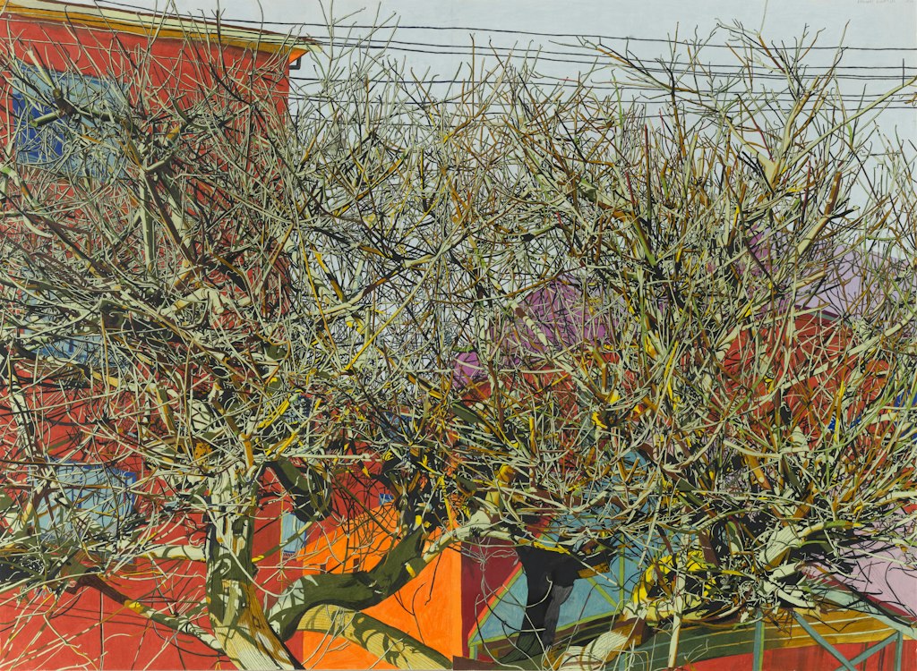 Exhibition image for Near at Hand: Dobell Australian Drawing Biennial 2026